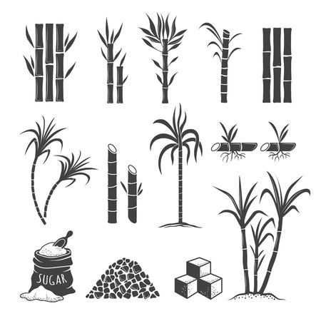 Sugarcane farm symbols. Sweets field plant harvest milling vector colored illustrations isolated on white background. Sugarcane sweet, sugar cane harvestのイラスト素材