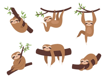 Sloth characters. Cute sleepy animal on branch tree kid climbing vector cartoon mascot. Lazy sloth on branch, character sleepy illustrationのイラスト素材