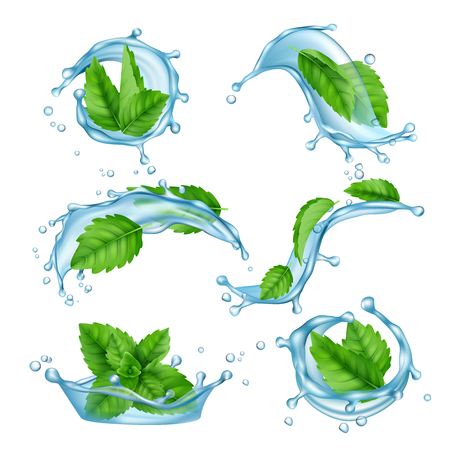 Fresh water mint. Liquid splashes with green menthol leaf for drink vector realistic collection. Illustration of menthol leaf and mint freshのイラスト素材