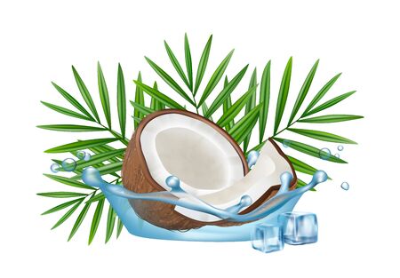 Realistic coconut in water splash, vector palm leaves and ice cubes isolated on white background. Illustration of exotic fruit, healthy coconut nutritionのイラスト素材