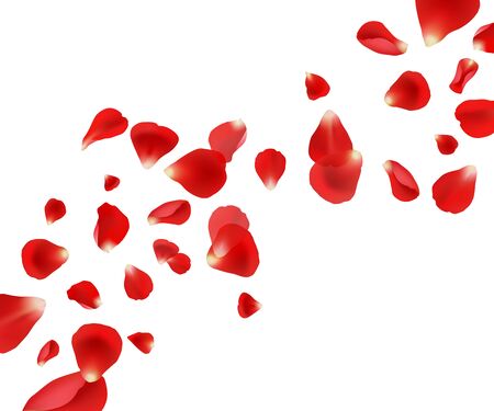 Petal background. Flying rose petals wedding beautiful template design for cards invitation vector pictures. Illustration flying red petal, wedding fly roseのイラスト素材