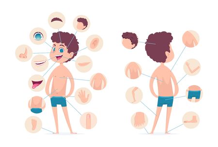 Boy body parts. Young human school male kid anatomy hands legs fingers head vector cartoon character. Human male body, finger and head, toe and knee illustrationのイラスト素材