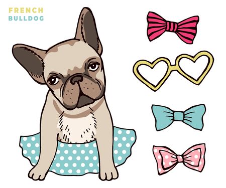 French bulldog. Cute puppy bulldog with accessorises. Dress up your dog vector illlustration. Bulldog french companion in dressのイラスト素材