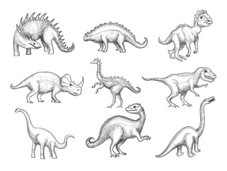 Dinosaurs collection. Extinction wild herbivorous angry animals in paleontology ages vector sketch drawn pictures. Sketch herbivorous and prehistoric reptile illustrationのイラスト素材