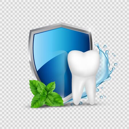 Tooth protection. White tooth, shield and mint, water splash. Dental healthy concept vector illustration. Dental tooth and shield protection careのイラスト素材