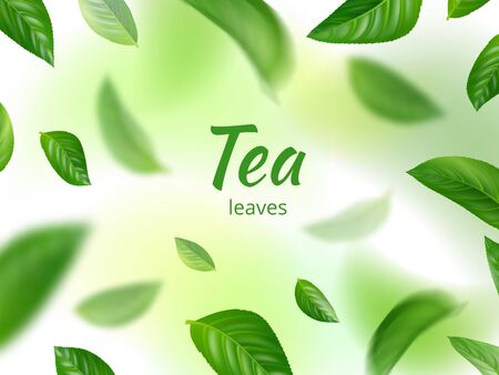 Green leaves background. Flowing of natural green herbs eco concept flying realistic leaves vector. Tea natural plant background, flying and flowing floral illustrationのイラスト素材