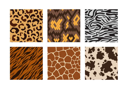 Animal skins. Pattern of african jungle animals leopard tiger zebra giraffe vector seamless backgrounds collection. Skin pattern african, seamless cheetah and leopard fashion illustrationのイラスト素材