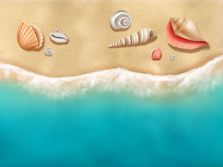 Seaside top view. Sun beach with seashells on sand near ocean water vector realistic background. Ocean seaside tropical sand, relax beach illustrationのイラスト素材