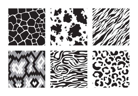 Animals skins patterns. Tiger giraffe zebra leopard vector seamless background. Illustration black and white seamless pattern tiger, giraffe printのイラスト素材