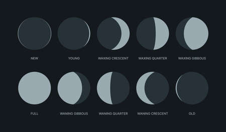 Moon phases. Night symbols for moon calendar circle round shapes logos waxing pack garish vector...