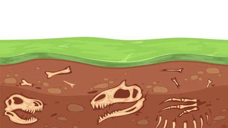 Paleontology bones. Archeology, underground dinosaur skeleton and skull. Fossil in ground layers vector illustration. Dinosaur and skeleton, fossil in soil, skull and bone archeologyのイラスト素材