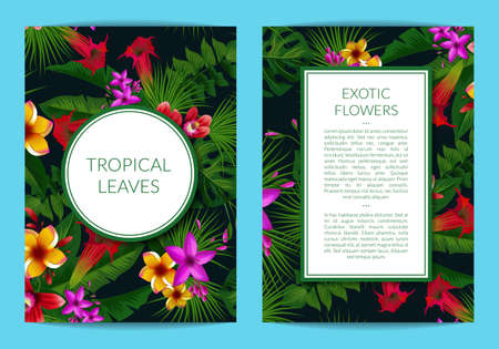 Vector tropical palm leaves and exotic flower elements business template for card or flyer with frames and place for text. Exotic palm leaf pattern, botanical hawaii flower illustrationのイラスト素材