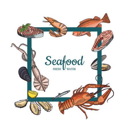 Vector hand drawn seafood elements flying around bold empty frame illustrationのイラスト素材