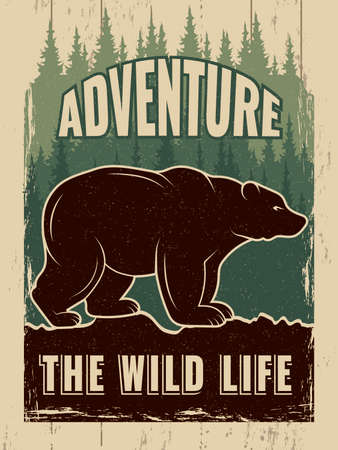 Retro poster with picture of wild bear. Vector bear wild and green forest poster, adventure wildlife illustrationのイラスト素材
