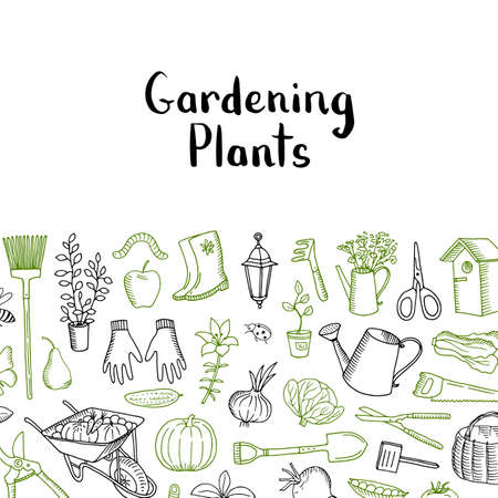 Horticulture and plants sketch pattern. Vector gardening icons backgroundのイラスト素材