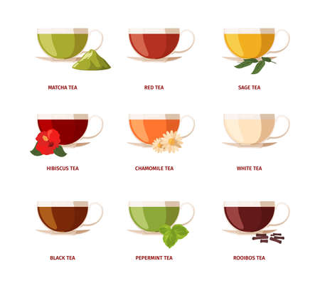 Type of tea. Beverage drinking natural products with green leaves lemon rooibos liquids in glass cups black tea garish vector flat illustrations setのイラスト素材