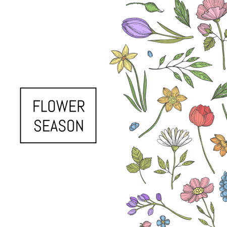 Vector hand drawn flowers background with place for text illustrationのイラスト素材