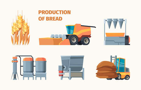 Wheat harvesting. Bread production bakery industry tasty food from grain seeds farm machines and retail markets garish vector flat infographicのイラスト素材