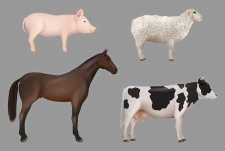 Farm animals. Domestic cow with milk pig horse sheep decent vector realistic animals collection
