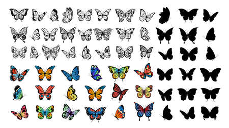 Butterfly collection. Drawing butterflies, silhouette and color flying insects. Spring animals, wild meadow or forest characters vector setのイラスト素材