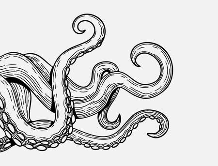 Tentacles banner. Octopus tentacle sketch element. Decorative engraving sea animal parts vector posterのイラスト素材