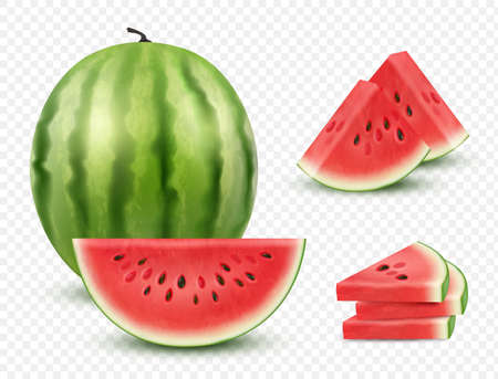 Watermelon realistic. Collection slices healthy natural berry watermelon fruit decent vector illustration isolated on whiteのイラスト素材