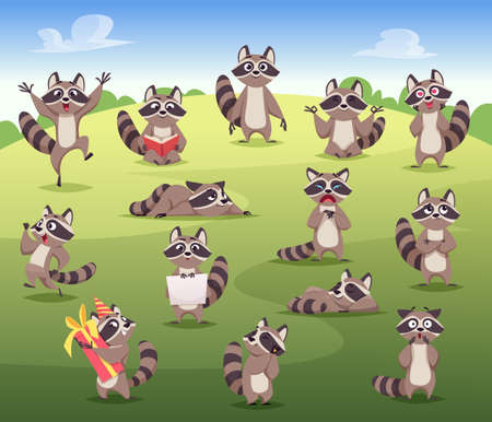 Raccoon. Cartoon wild animal in action poses mammals posing standing jumping various emotions smile raccoon exact vector flat colored pictures isolatedのイラスト素材