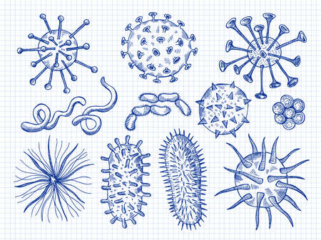 Sketch viruses. Virus bacteria microbiology cell danger biological disease signs recent vector hand drawn illustrationsのイラスト素材