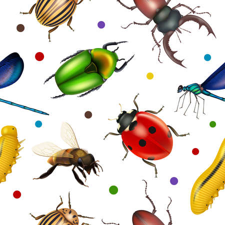 Insects pattern. Bugs botanical flying insects flies decent vector seamless background for textile design projectsのイラスト素材