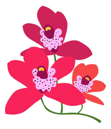 Bright red flower. Tropical forest orchid plantのイラスト素材