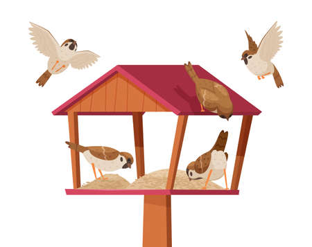Sparrows in birdhouse. Chirp birds characters flying and eating crumbs in birdhouse exact vector cartoon backgroundのイラスト素材