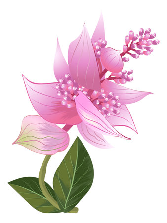 Exotic pink flower. Tropical blooming bouquet. Jungle floraのイラスト素材