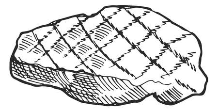 Grilled steak sketch. Hand drawn roasted meat cutのイラスト素材