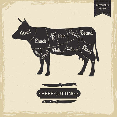 Butchers library vintage page - beef cutting vector poster designのイラスト素材