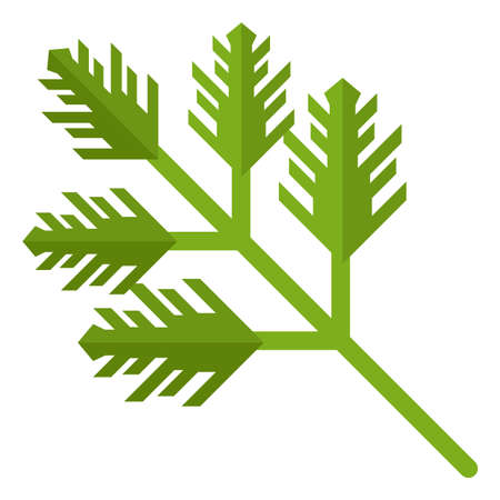 Green cooking herb leaves. Parsley flat iconのイラスト素材