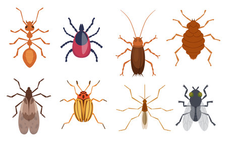 Harmful insects. Pests ants centipedes roaches bugs sprayers exact vector cartoon template protection form insectsのイラスト素材