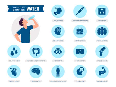 Water for health. Liquid products for healthy human body stomach hair eyes bones drinking nutrition recent vector flat icons setのイラスト素材
