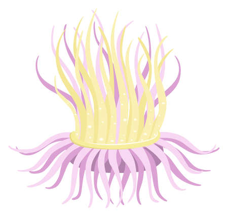Cartoon anemone. Sea predator. Underwater life faunaのイラスト素材