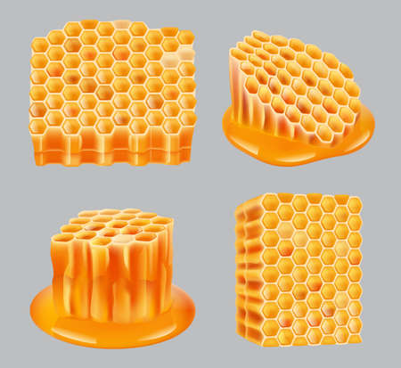 Honeycomb. Healthy wax portion yellow close up pieces of honey nutrition honeycomb realistic cells decent vector pictures setのイラスト素材
