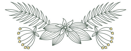 Elegant flower branch divider. Page print decorationのイラスト素材