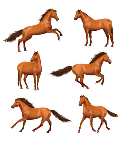 Horse realistic. Wild galloping horses fast running different action poses decent vector illustrations setのイラスト素材
