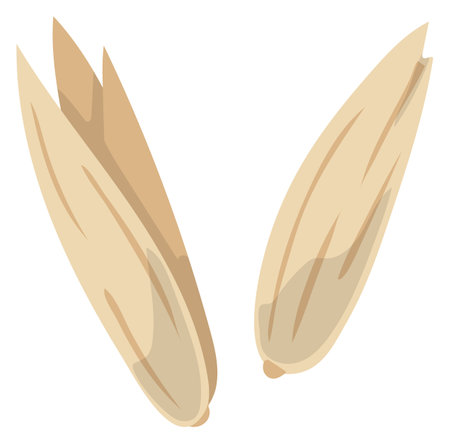 Oat raw seed. Natural grain cartoon iconのイラスト素材