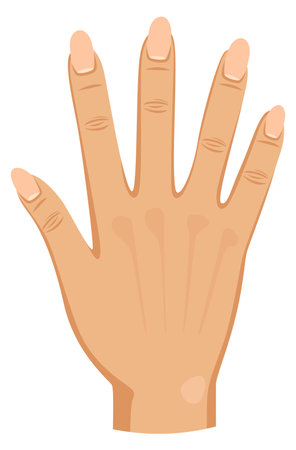 Female hand. Human palm with fingers color iconのイラスト素材