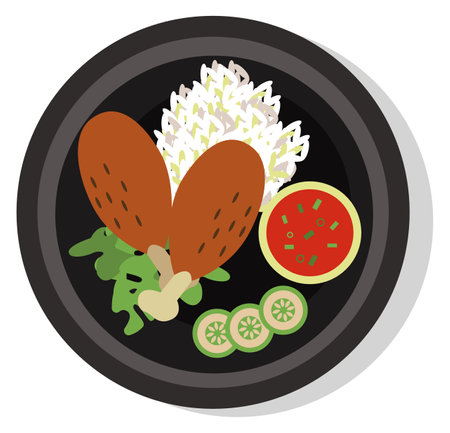 Fried chicken rice dish top view. Asian foodのイラスト素材