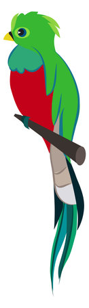 Green parrot icon. Tropical jungle bird animalのイラスト素材