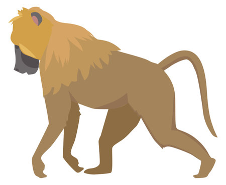 Monkey color icon. Jungle animal. Wild primateのイラスト素材