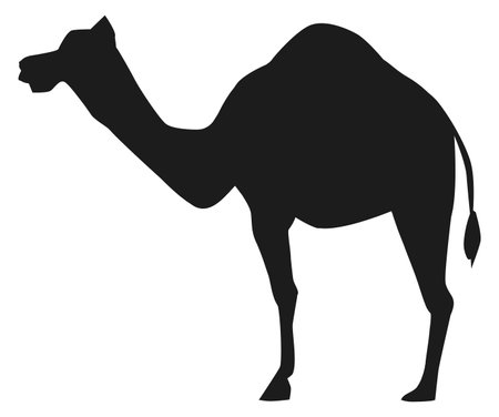 Camel silhouette. Black desert animal icon. Caravan symbolのイラスト素材