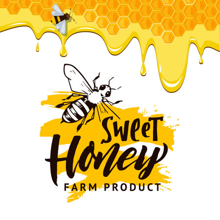 Honey background. flow of honey on lettering. Vector conceptual templateのイラスト素材