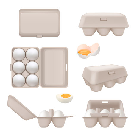Eggs containers. Tray boxes for food eggs packages for retail decent vector set isolatedのイラスト素材