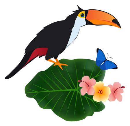 Toucan sit on tropical plant. Exotic bird in natureのイラスト素材
